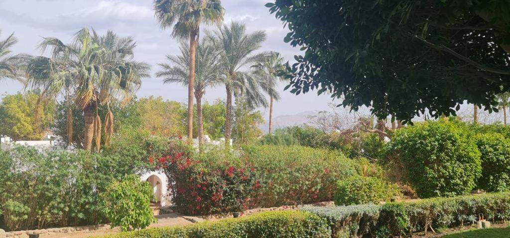 Appartement Grace House Domina Coral Bay à Charm el-Cheikh Extérieur photo